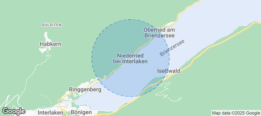 Discover Niederried bei Interlaken Airbnb Analytics